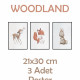 Woodland Yapışkanlı Poster Seti