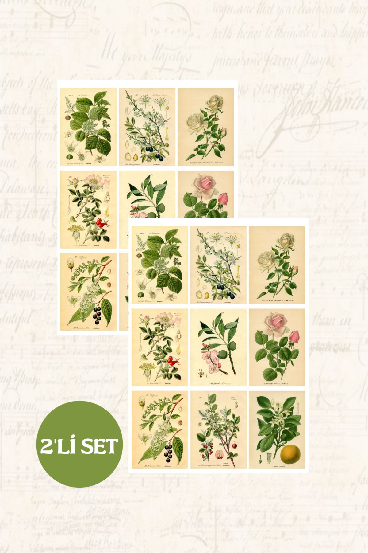 Botanical Sticker Seti 2'li