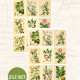 Botanical Sticker Seti 2'li
